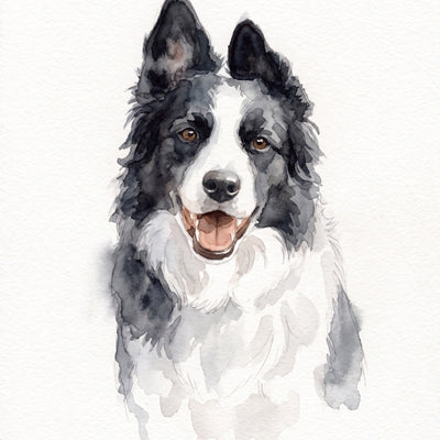 Aquarelle